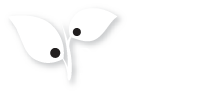 decurnex_logo